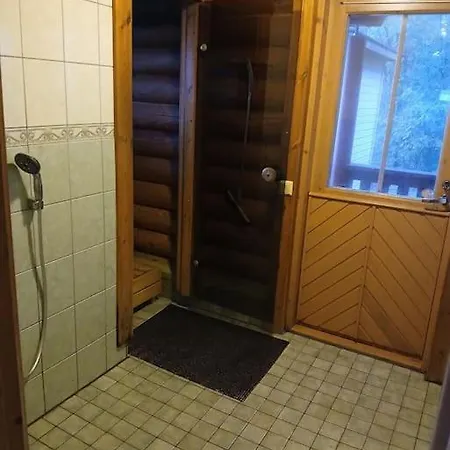 Idylli - Paljullinen Moekki Jaervenrannalla Apartment Ikaalinen